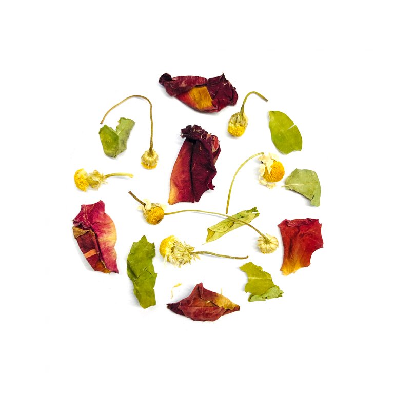Chamomile Rose Moringa (CamRoMo) - The Exoteas