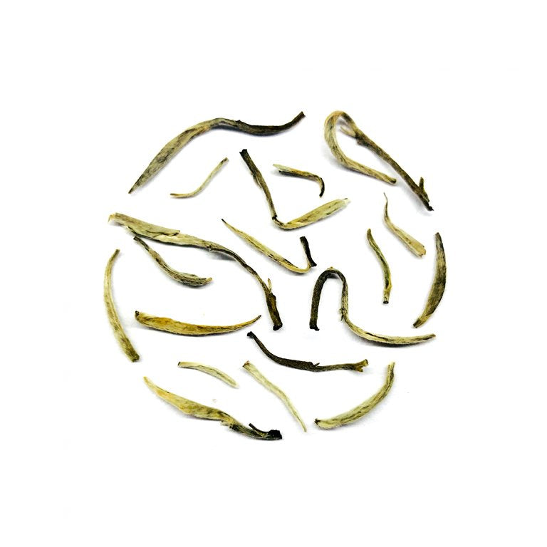 Chabessey Silver Needle White Tea - The Exoteas