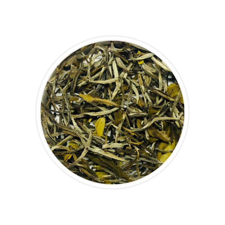 Chabessey Silver Needle White Tea - The Exoteas