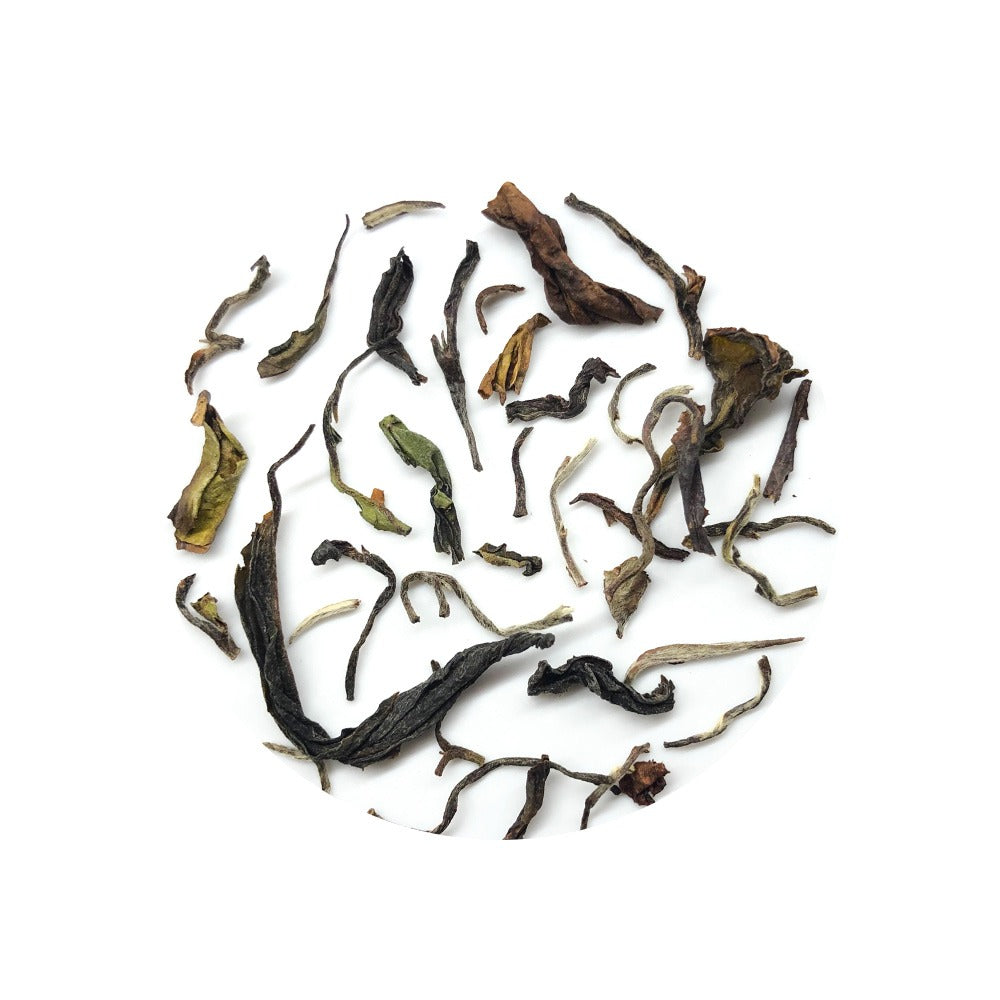Chabessey Hand Rolled Delight - The Exoteas