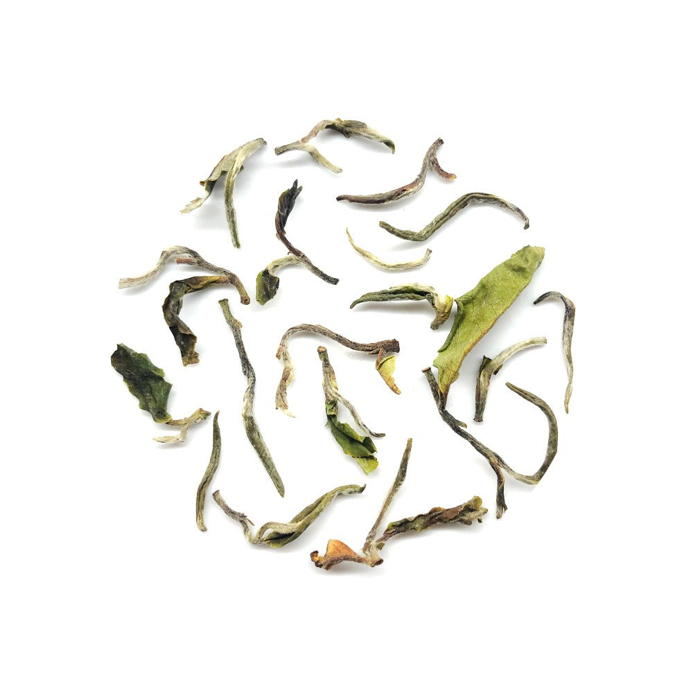 Rohini White Tea - The Exoteas