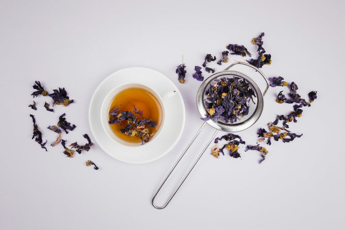 White cup of herbal tea with butterfly pea flowers and tea strainer on white background