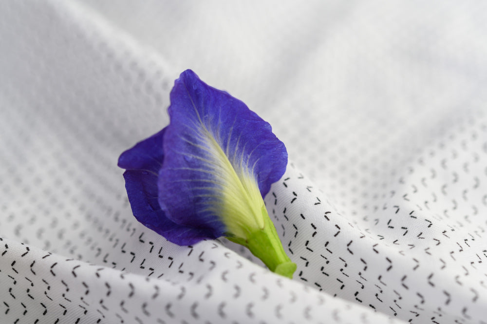 Close-up of a vivid blue and yellow butterfly pea flower on textured white fabric with black dots