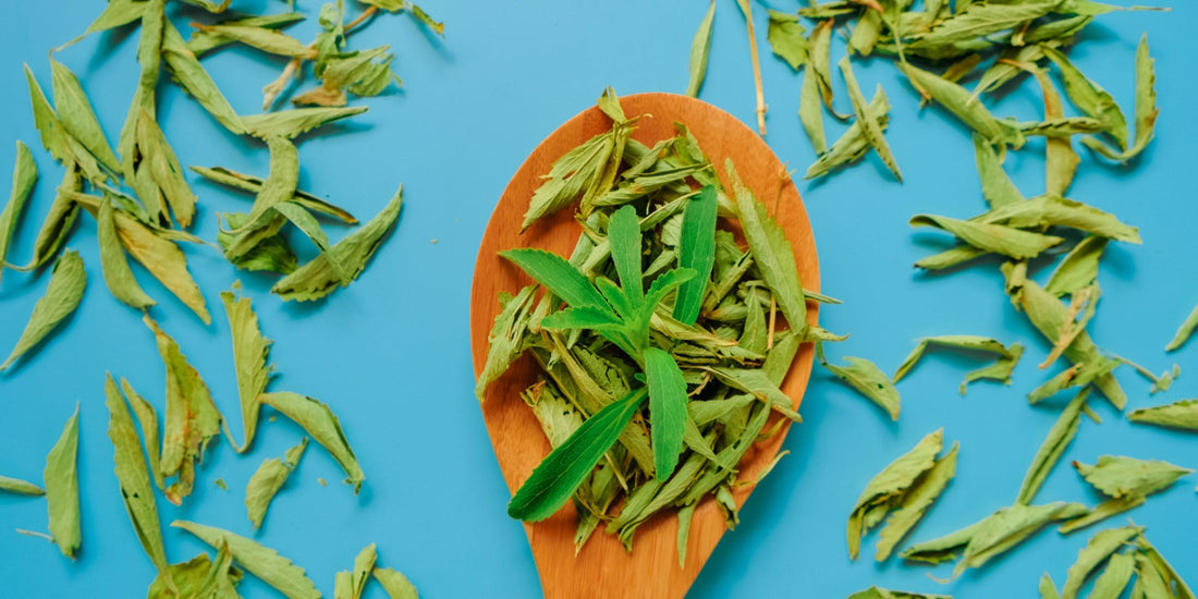 Wooden spoon with dried and fresh stevia leaves on a blue background
