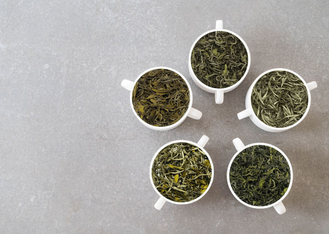 Five white cups filled with different varieties of loose dried green tea leaves on a gray surface
