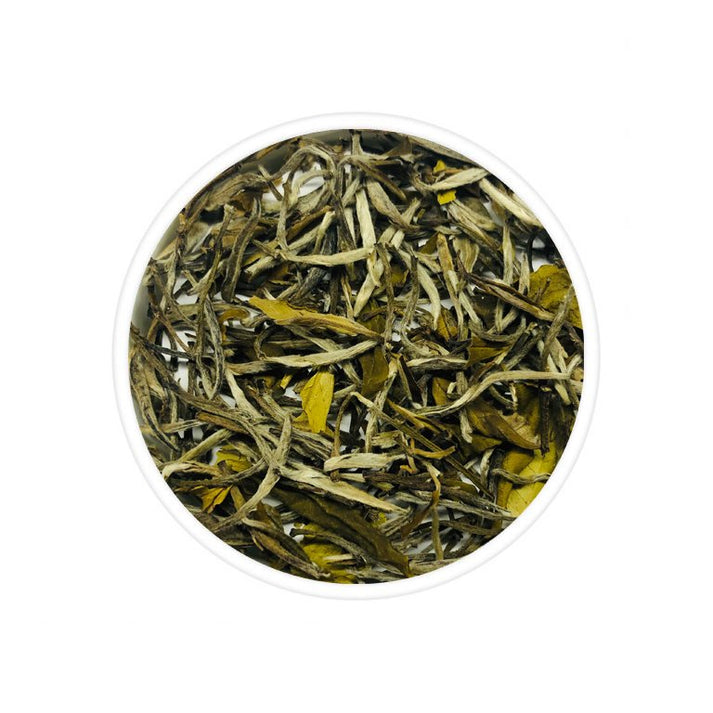 Chabessey Silver Needle White Tea - Alternate View
