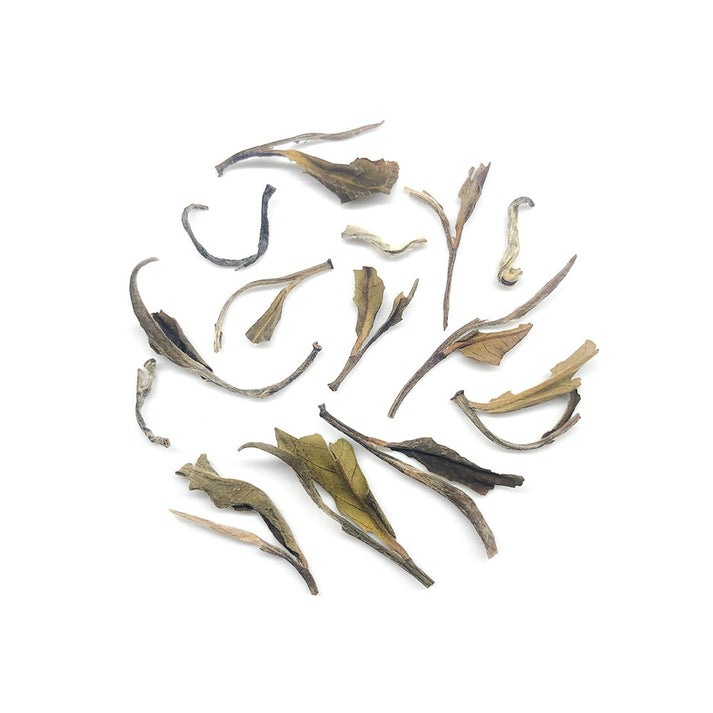 Giddapahar White Tea – Rare Darjeeling Loose Leaf White Tea