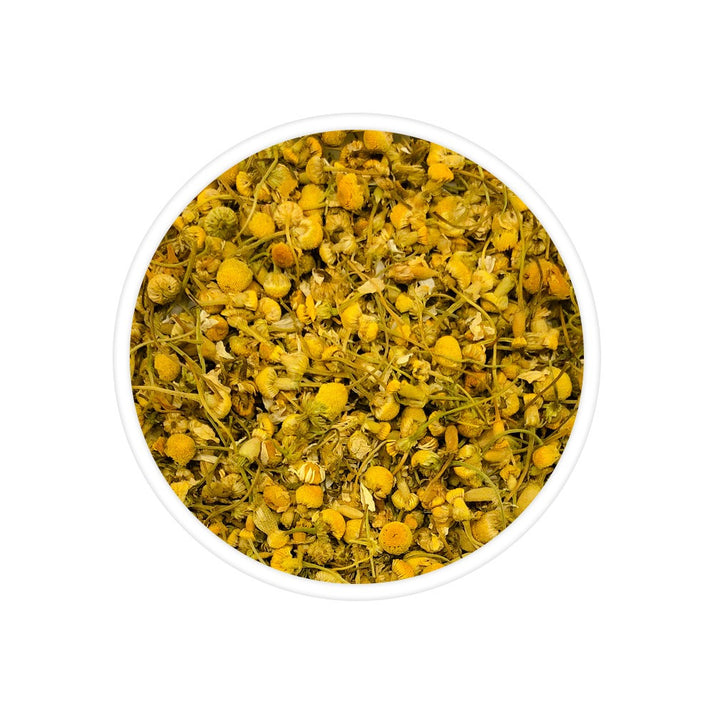 chamomile-flower-2.jpg