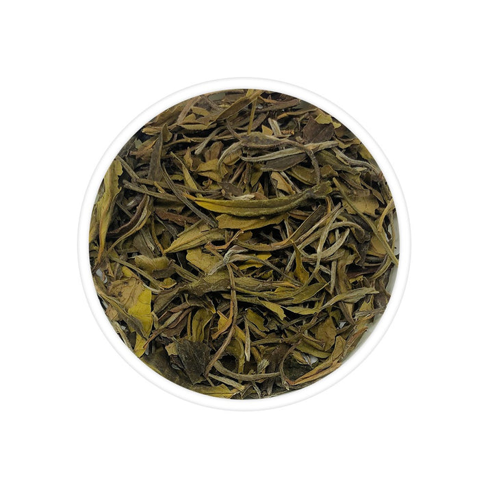 Giddapahar White Tea – Rare Darjeeling Loose Leaf White Tea - Alternate View